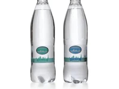 Вода в бутылках 0,5 газированная