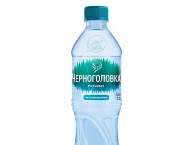 Минеральная вода «Черноголовка», с газом/без газа, пластик, 500 мл